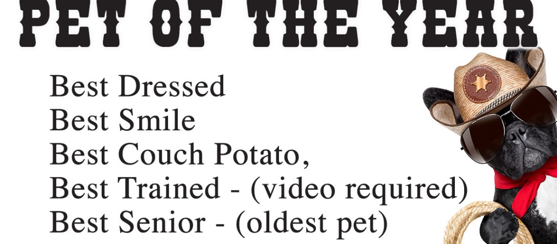 pet of the year graphic